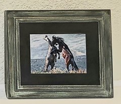 Rustic Farmhouse Wall Art Set of 2 Real Wood Framed Barn & Horse Photography