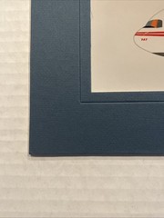 Vintage TWA Trans World Airlines 767 by Hurley Signed & Matted 1993 Art Print