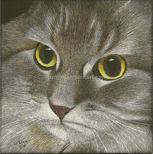 Scratch Art Original Signed on Ampersand Pro Board 6″x6″ Coon Cat’s Face Closeup