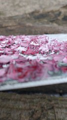 Original 5″x7″ Oil Painting Textured Pink & White Cherry Blossom Tree IMPASTO