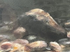 Sporting Painting Sea Trout Nearly Hooked The Silver Zulu Fly By Roger McPhail
