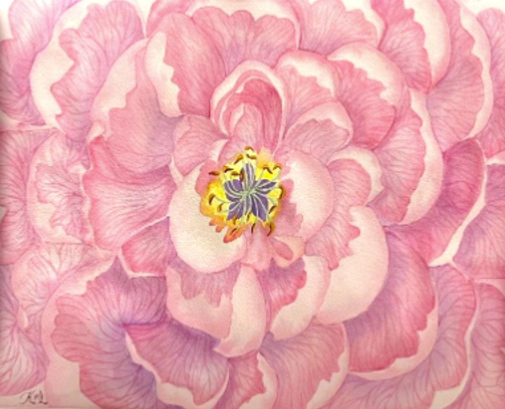 PAINTING WATERCOLOR ART PEONY FLOWER PINK PURPLE 11X14 & DOUBLE WHITE MAT 16X20