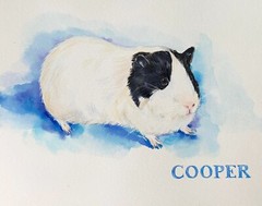 HAND-PAINTED CUSTOM PET PORTRAIT, cat portrait, dog portrait, gift for pet lover