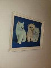 Vintage Original Oil Painting Three White Persian Kittens Cat Portrait Signed