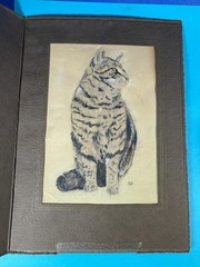 VTG ORIGINAL HAND PAINTED DRAWING TABBY CAT PORTRAIT ON PAPER SELF TAUGHT NAIVE