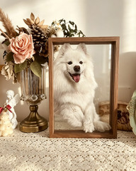 Custom Pet Portail Drawing from photo | Pet Memorial Gift Portrait from photo