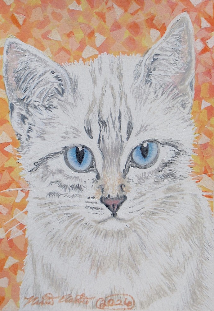 Lynx point Siamese kitten, cat, original art, animals and nature, wall art