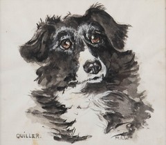 M.A.W – Framed 20th Century Watercolour, Quiller the Border Collie