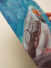 Original Oil Painting Zebra Finch Bird 6 x 6 inches Birds Painting