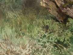 Josef SELLENY (1824-1875) – Baumstamm im Wald.