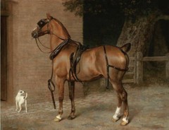 High Quality Large Oil Painting Horse dog Handmade Art on Canvas Wall Decor 36″