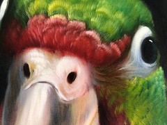Beautiful Original Oil on Canvas Parrot Head Portrait Framed 14.5×18 in