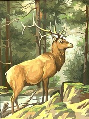 Vintage Paint by Number Painting Whitetail Elk Deer in Forest Framed 19 x 15
