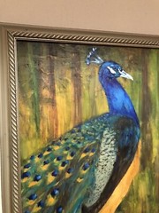 Original Beautiful Peacock Painting Oil In Canvas 16×20 Inches Unframed