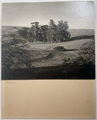 Vintage Original Photograph Landscape San Jose Photo Club 1st Prize Signed 1957
