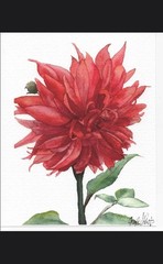 Original Water Color Print 8×10 Dahlia Flower Painting