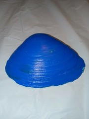 Hand painted, 1 of a kind sea shells picked at the shore & painted.  