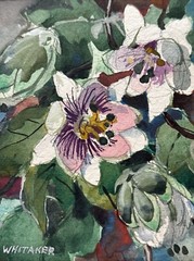 FREDERIC WHITAKER PAINTING AMERICAN FLORAL IMPRESSIONISM LISTED FAMOUS SMALL