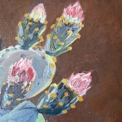 Cactus in Bloom – Original Oil Painting 10×12″