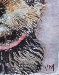 Original Small Watercolor Painting 6″ x 4″ Yorkshire Terrier Puppy NOT A PRINT