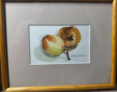 Wendy Schierer „Still Life With Onions“ Watercolor Painting – Signed And Framed