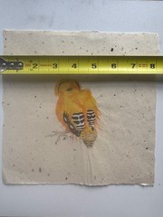 Vintage Watercolor Painting Gold Finch John Matassa OOAK 8 x 8