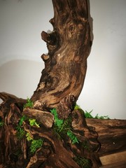 Large 3D Wooden BONSAI Art 110×117 cm – Handmade, Natural Wood, LED