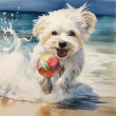 Watercolor Maltese Dog Painting Art Print 8×11 inches