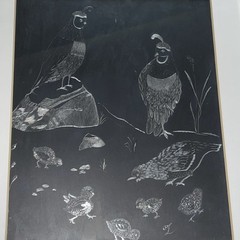 Vintage Peahens black & Silver scratch art Silver Framed Birds Chick Handmade