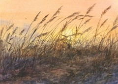 Sea Oats – Sand dunes at sunset – Original Watercolor by LINDA HENRY – Seascape