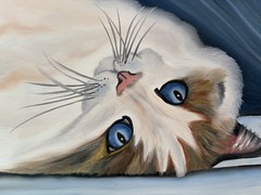 Original oil painting 11 x 14 inch beautiful white cat blue eyes- free shipping