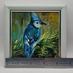 Blue Jay Original Oil Painting Bird Framed Miniature Wall Art Wildlife Nature