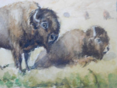 JULIUS J. RORPHURO (1861-1928, France-Calif.); ‚BUFFALOS GRAZING‘, W/C, Signed