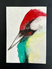 ACEO Original, Abstract Bird, Mini Art Painting, by Annibbie
