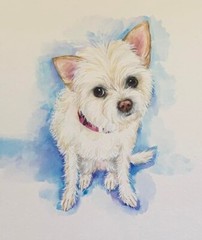 HAND-PAINTED CUSTOM PET PORTRAIT, cat portrait, dog portrait, gift for pet lover