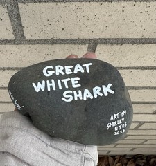 Shark W/natural Mouth Indentation Painted on a Rock! Approx 5 1/2“ X 4“ X 2“￼