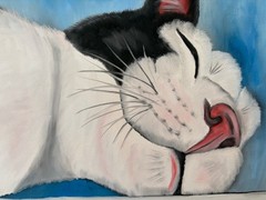 Original oil painting signed 11 x 14 in cute white and black cat sleeping
