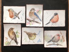 Original Watercolor Painting Birds Painting Bird Card Set of 6