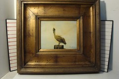 Original framed painting on board Scott gleason American ornithology Pelican