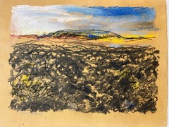 „Lavafeld 2, Iceland“, Heinrich G. Noé, 2016, Pastel, 51×39 cm