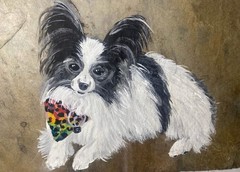 Custom Pet Portraits – Hand painted To Order.