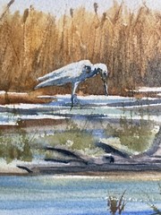 Original Watercolor Art Painting “Wetland Rest Stop” Bird Signed Matt Connors