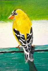 Original Miniature Painting ACEO Wild Bird American Goldfinch on the Fence