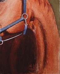 ORIGINAL Watercolor Painting “ Alazán“ 9″ X 11″
