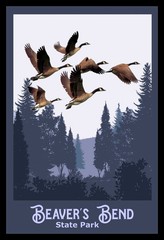 Wholesale Lot Of 15 National Parks Travel Posters All Diffrent Art can Resell