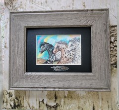 3 inch by 5 inch matted COE OOAK Watercolor Appaloosa horses, Nez Perce