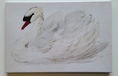 Swan Painting VERY GOOD CONDITION (Whole Package: 45cm X 30cm X 3cm, 500g)