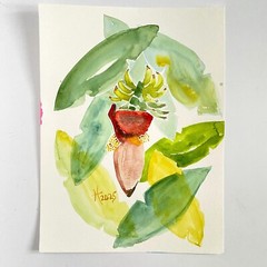 Tropical Delight Original Art Banana Tree Watercolor Painting Matted 11x14in