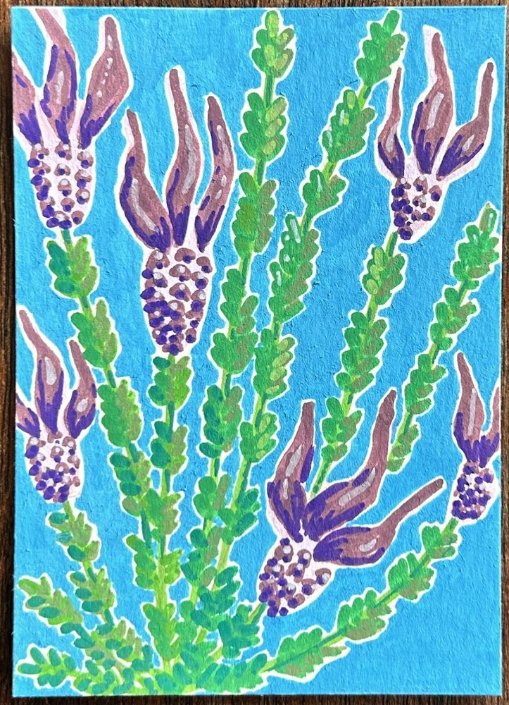 aceo original art by Emily Beck, Lavender, Acrylic Flower Painting, 2.5×3.5