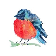 Christmas Robin Bird art Original Watercolor painting 5×4.5″Bird Lover Best Gift